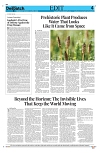Kashmir Despatch 12 April 2026_00004
