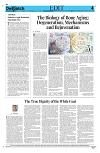 Kashmir Despatch 17 September 2026_00004