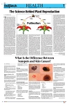 Kashmir Despatch 21 October 2026_00007