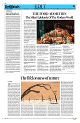 Kashmir Despatch 23 October 2025_00004