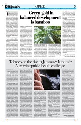 Epaper Kashmir Despatch 22 Oct_00005