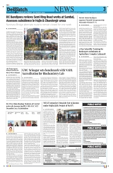 Kashmir Despatch March 20_00003