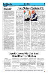 KASHMIR DESPATCH 16 MAY_00004
