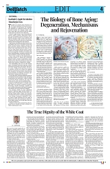 Kashmir Despatch 17 September 2026_00004