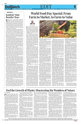 Kashmir Despatch 16 October_00004